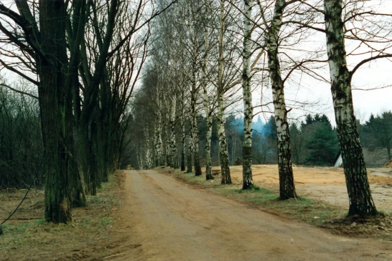 1990: Ehemaliger Schwarzer Weg Rixecker (rechts im Hintergrund das Haus der Kahlenbergfreunde)